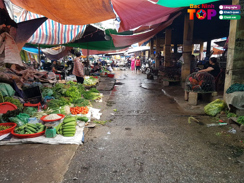 Cho-cau-kim-bacninhtoplist