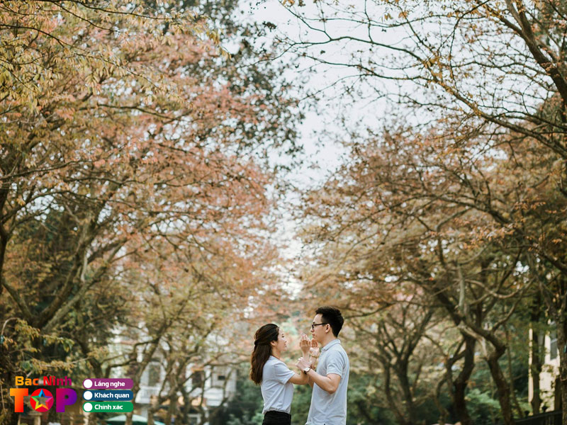 Con-duong-canh-thanh-uy-bac-ninh-bacninhtoplist