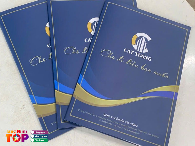 Cong-ty-cp-in-va-vtcn-bac-ninh-bacninhtoplist