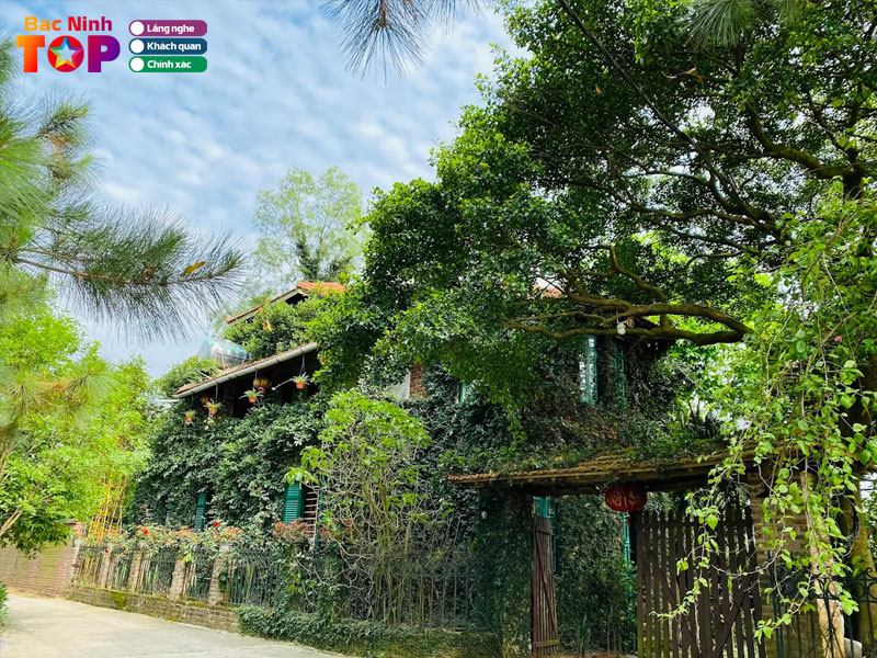 Jungle-house-homestay-bacninhtoplist