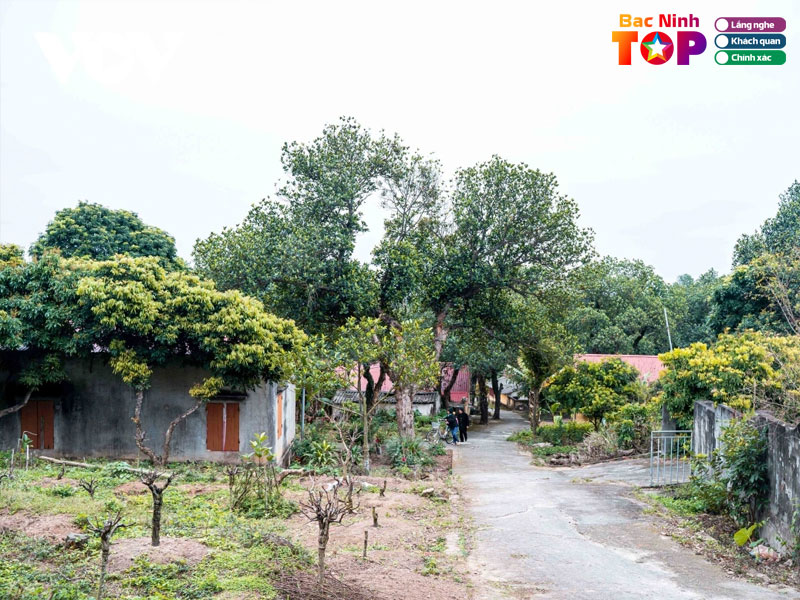 Mot-so-bai-hat-hay-ve-bac-ninh-bacninhtoplist