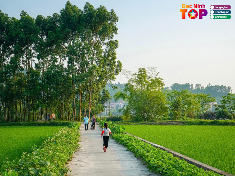 Nhung-chat-lieu-quen-thuoc-trong-cac-bai-hat-ve-bac-ninh-bacninhtoplist