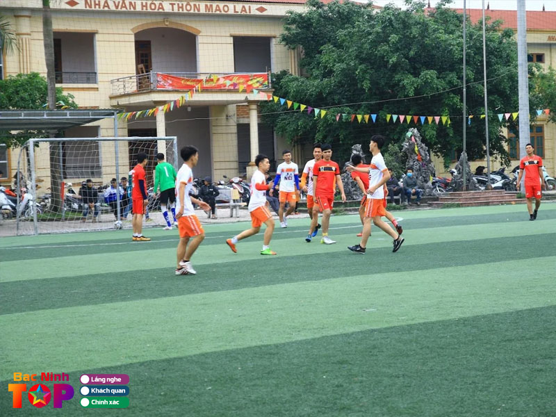 San-bong-mao-lai-bacninhtoplist