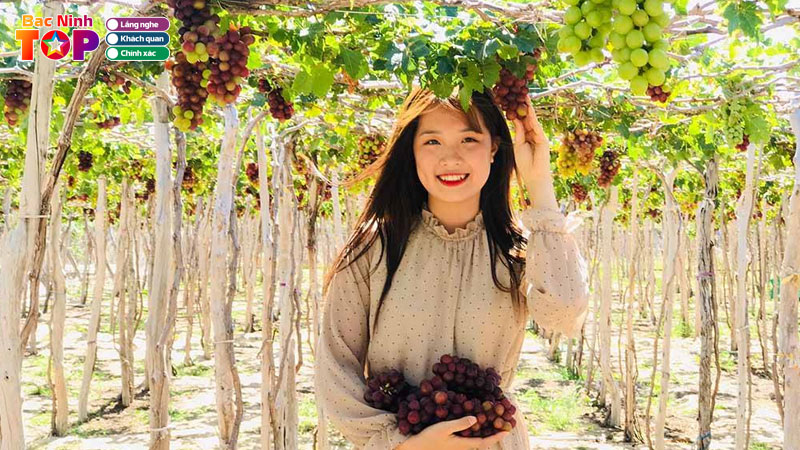 Top-3-vuon-nho-tai-bac-ninh-noi-tieng-thu-hut-du-khach-bacninhtoplist