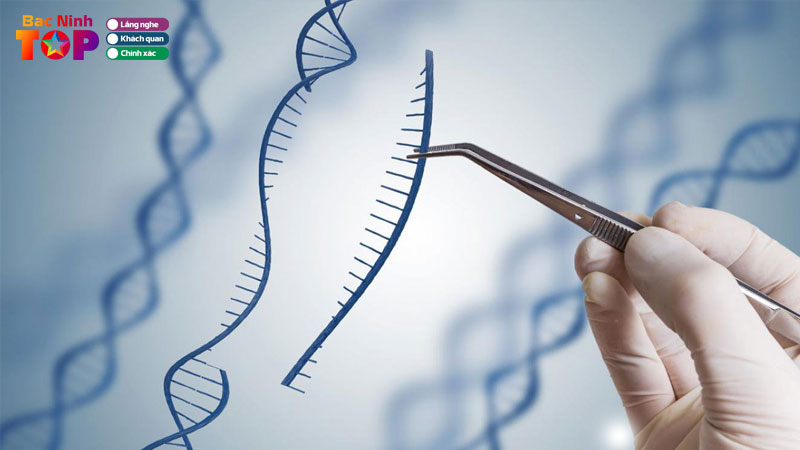 Top-5-dia-chi-xet-nghiem-adn-tai-bac-ninh-chinh-xac-bao-mat-bacninhtoplist