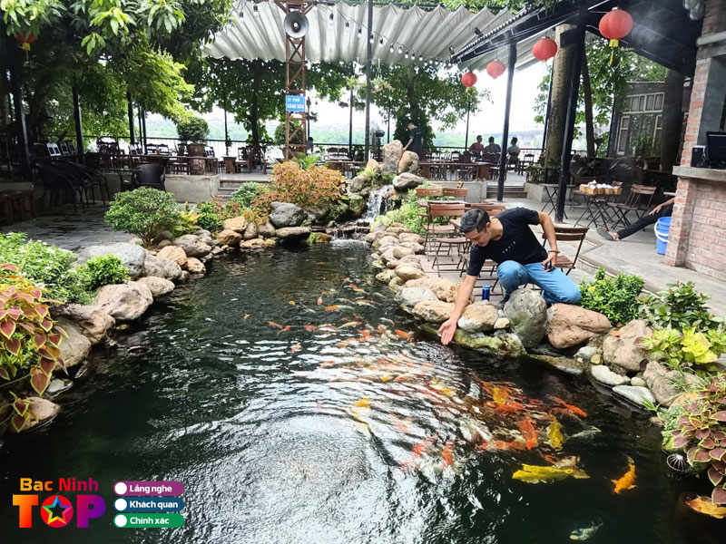 Cau-hoi-thuong-gap-ve-quan-cafe-ca-koi-tai-bac-ninh-bacninhtoplist