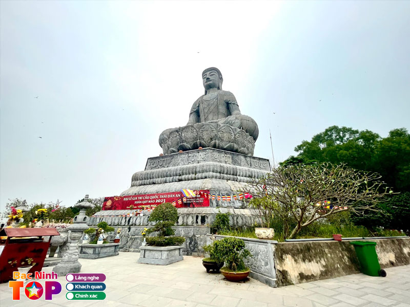 Kien-truc-doc-dao-tai-chua-phat-tich-o-bac-ninh-1-bacninhtoplist