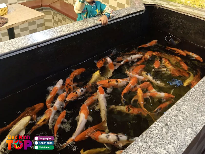 King-koi-coffee-bacninhtoplist