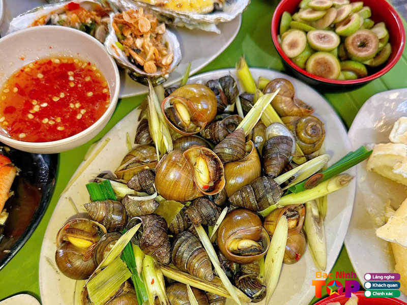 Oc-nha-miu-bacninhtoplist