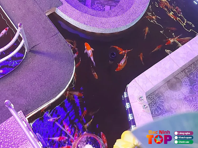 Orchid-koi-coffee-bacninhtoplist