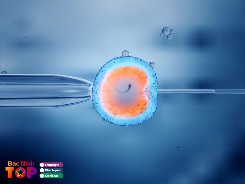 Phong-kham-san-phu-khoa-102-bacninhtoplist