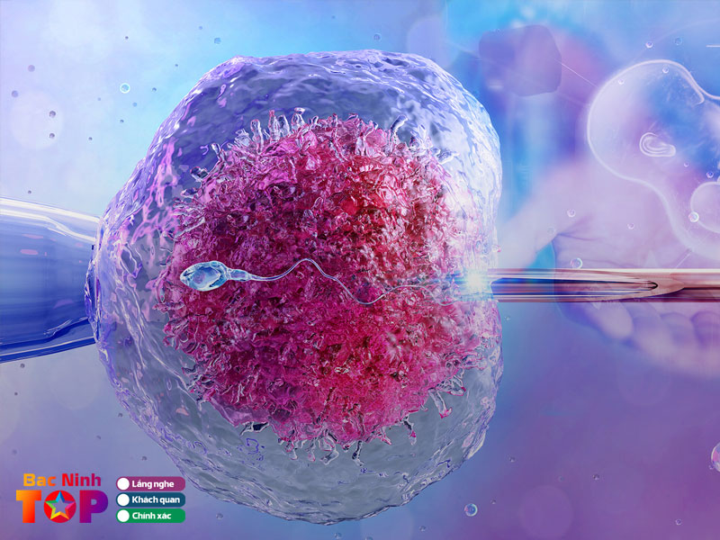 Tieu-chi-chon-dia-chi-lam-ivf-uy-tin-bacninhtoplist