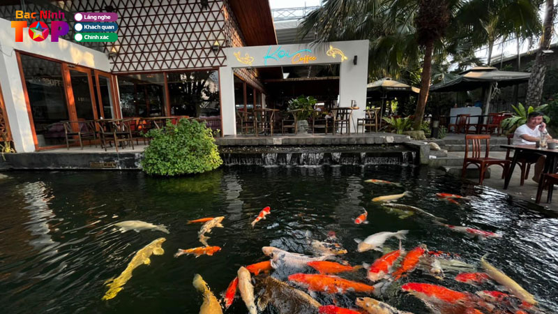 Top-10-quan-cafe-ca-koi-tai-bac-ninh-view-dep-check-in-cuc-chill-bacninhtoplist