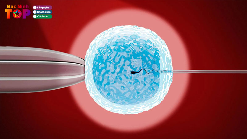 Top-4-dia-chi-lam-ivf-tai-bac-ninh-uy-tin-ty-le-dau-thai-cao-bacninhtoplist