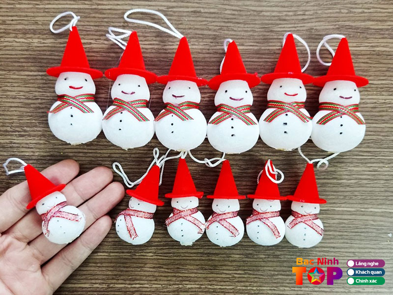 Nha-sach-su-su-bacninhtoplist