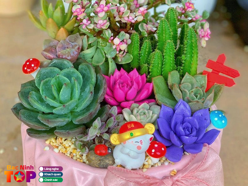 Tieu-chi-chon-dia-chi-mua-qua-tang-20-11-bacninhtoplist