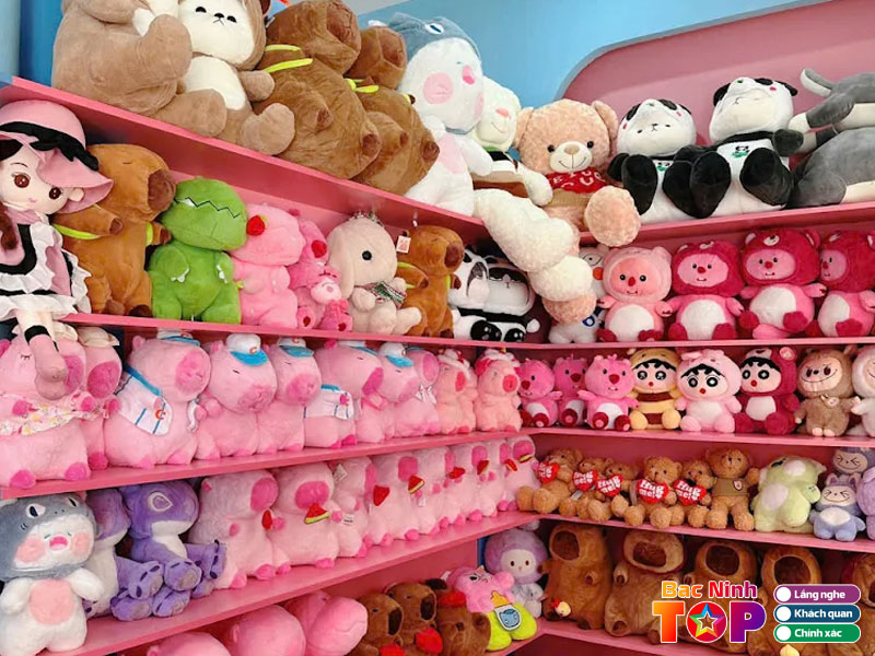 Gabi-qua-tang-phu-kien-bacninhtoplist