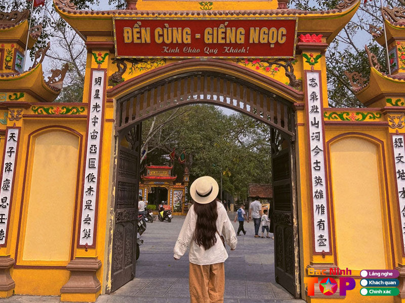 Huong-dan-lua-chon-meo-trai-nghiem-tu-dan-ban-dia-bacninhtoplist