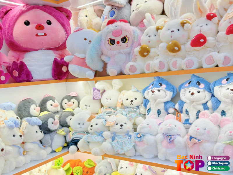 Net-xinh-phu-kien-qua-tang-bacninhtoplist