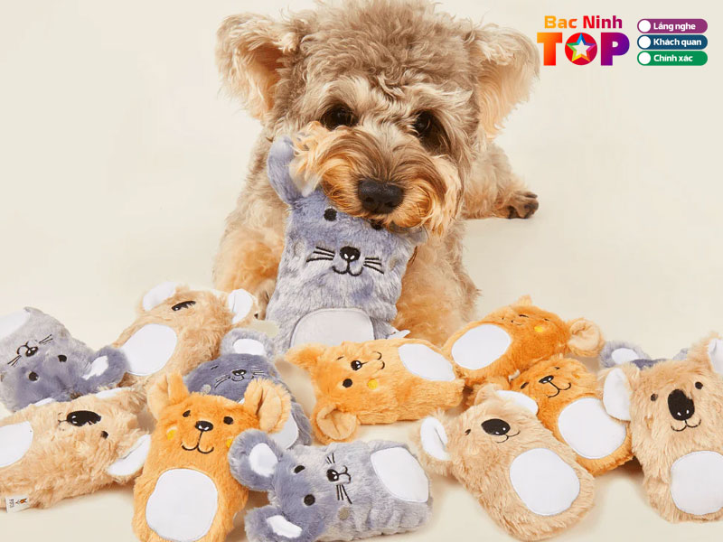 Tieu-chi-chon-shop-gau-bong-chat-luong-bacninhtoplist