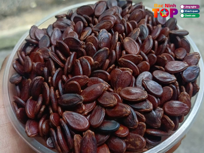 Cua-hang-tap-hoa-bac-nghiep-bacninhtoplist