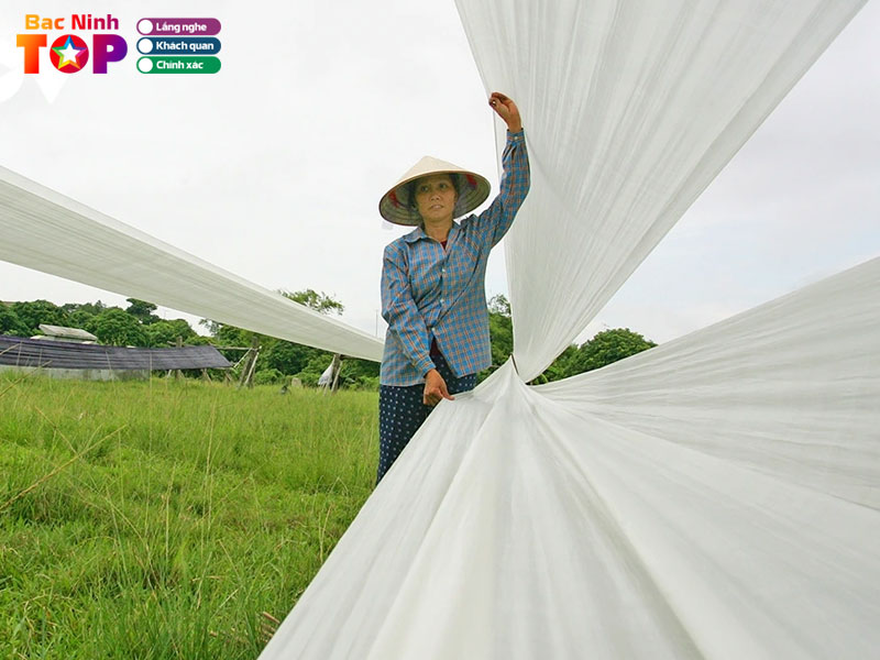 Lang-det-lua-tam-son-bacninhtoplist