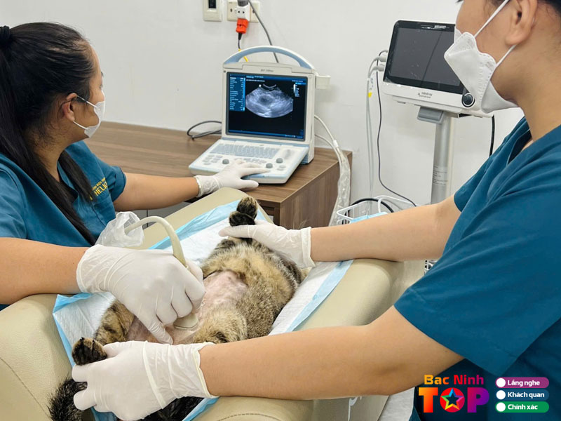 Benh-vien-thu-y-bac-ninh-helios-bacninhtoplist