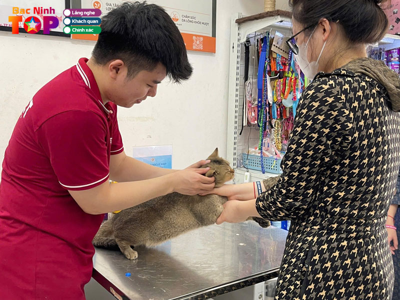 Benh-vien-thu-y-homepet-bac-ninh-bacninhtoplist