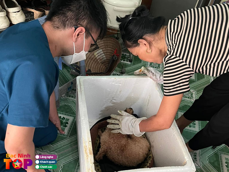 Benh-vien-thu-y-pet-chop-bacninhtoplist