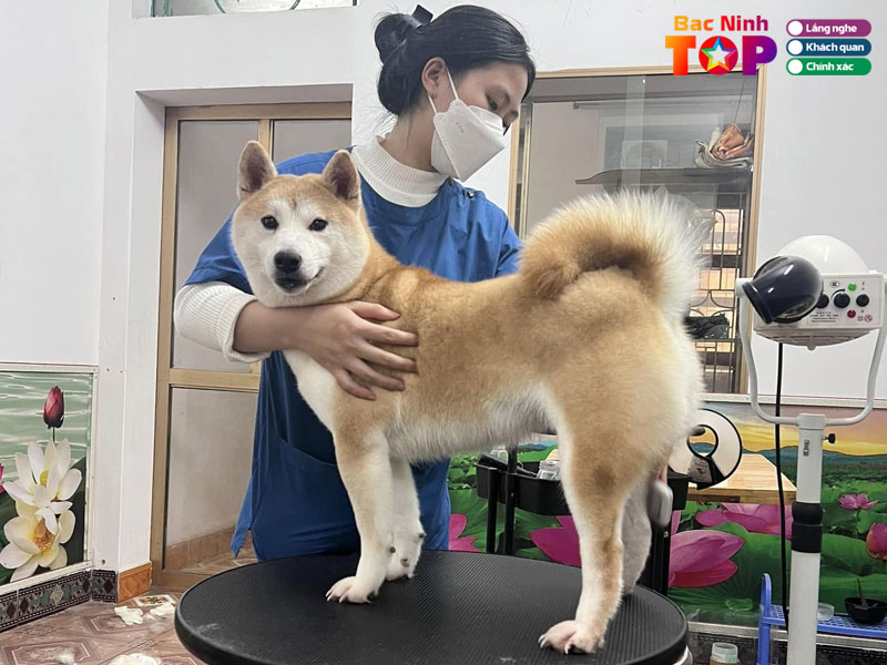 Benh-vien-thu-y-thanh-lam-vet-hospital-bacninhtoplist