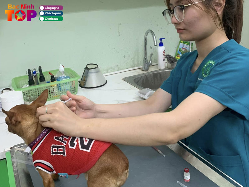 Phong-kham-thu-y-bac-ninh-bacninhtoplist