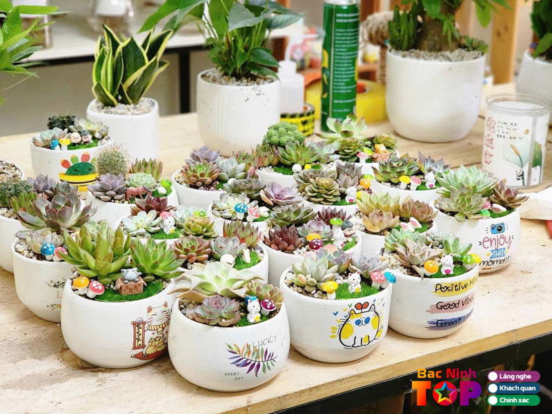 Vuon-sen-da-kinh-bac-bacninhtoplist