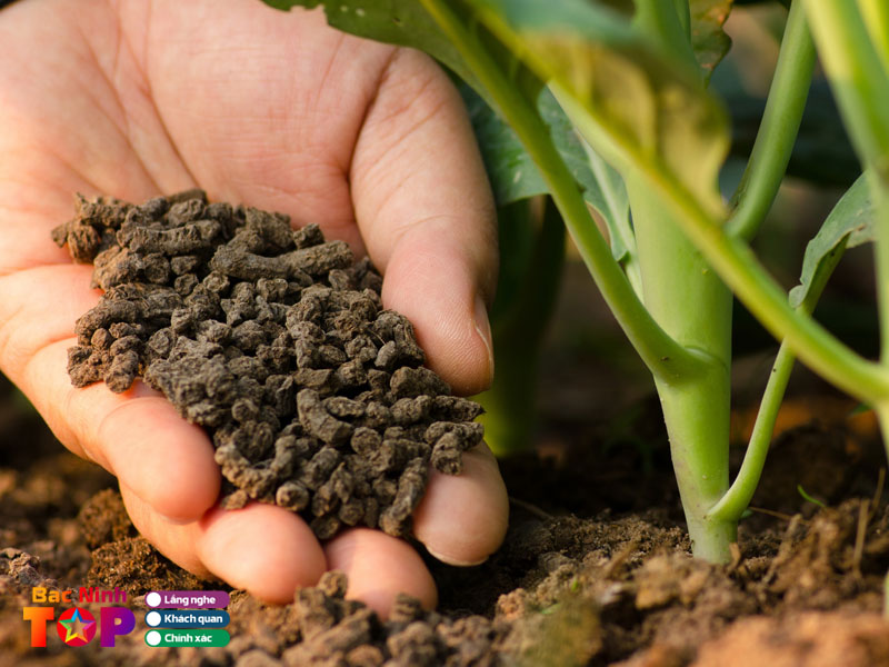 Trung-tam-vat-tu-nong-nghiep-huyen-hai-bacninhtoplist