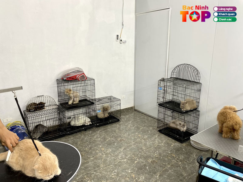 Bi-family-pet-bacninhtoplist