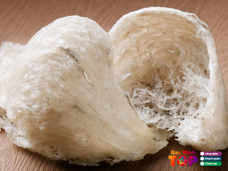 Cua-hang-yen-sao-viet-trang-1-bacninhtoplist