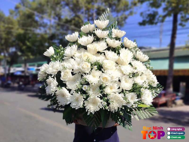 Hoarosa-bacninhtoplist