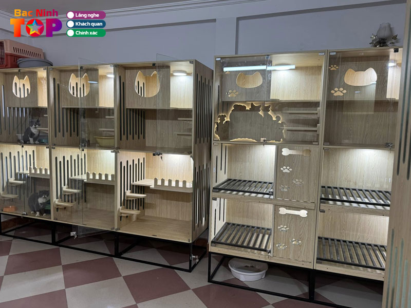 Oc-pet-shop-bacninhtoplist