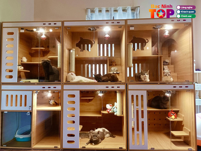 Pet-shop-pet-house-bacninhtoplist