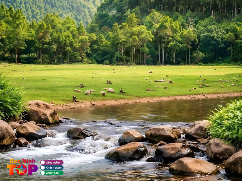 Suoi-mo-bacninhtoplist