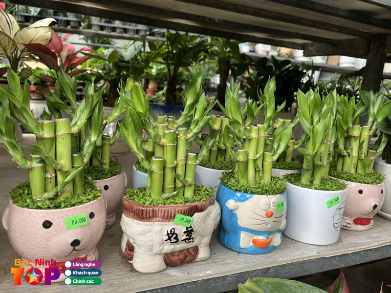 Tai-loc-garden-1-bacninhtoplist