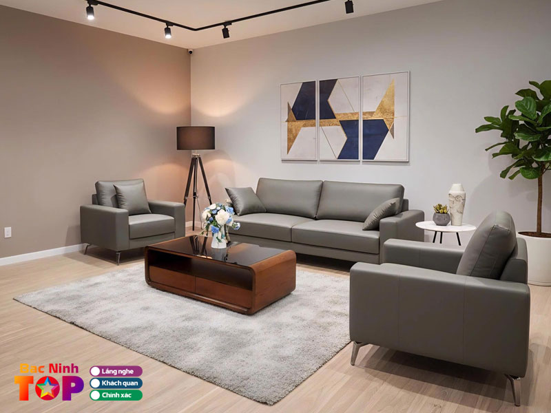 The-gioi-sofa-bacninhtoplist