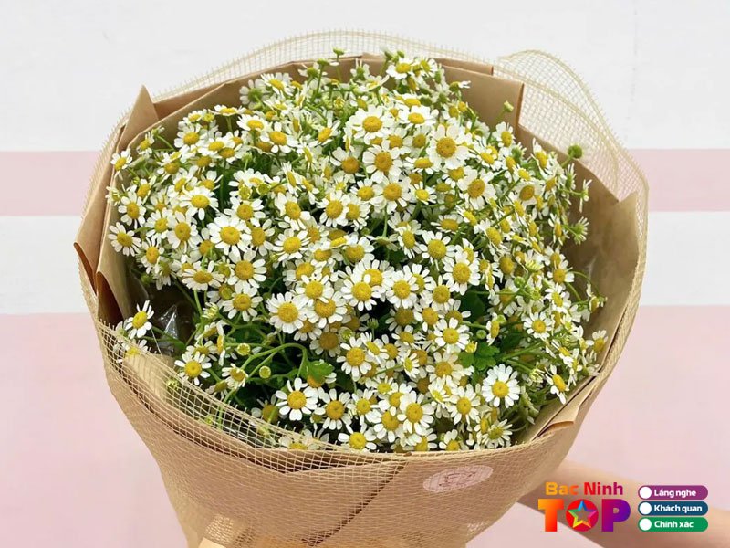 Shop-hoa-thuy-bau-1-bacninhtoplist