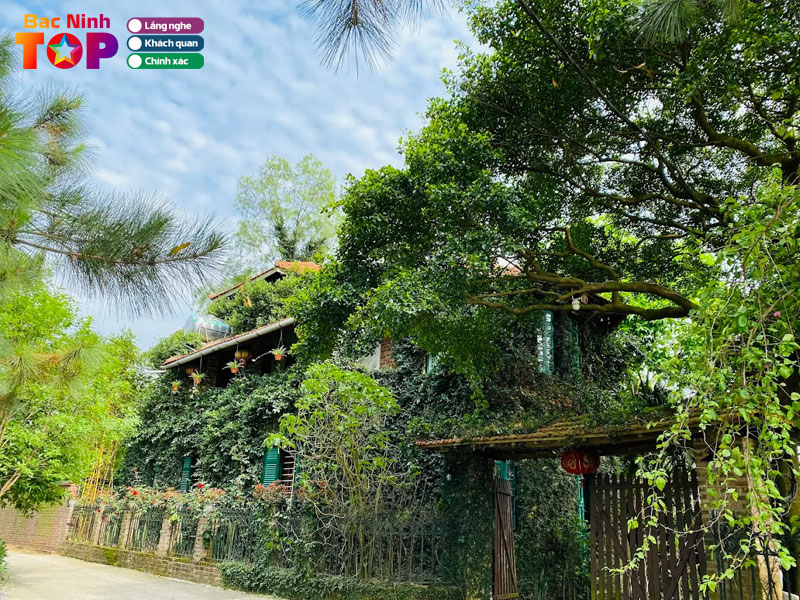 Jungle-house-homestay-bacninhtoplist